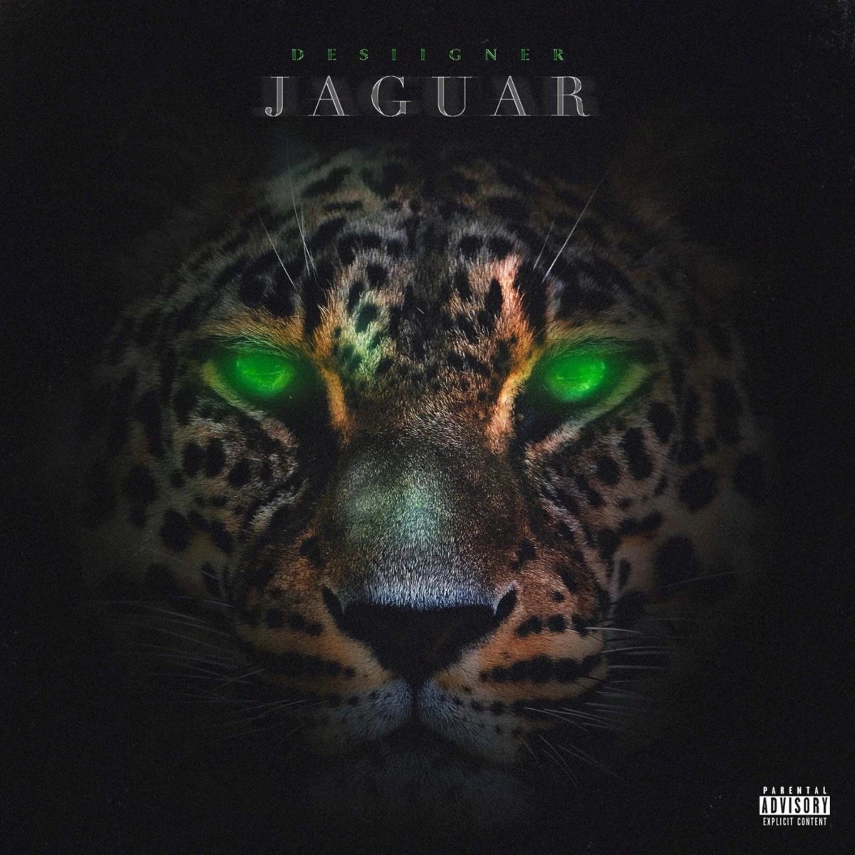 Jaguar Lyrics