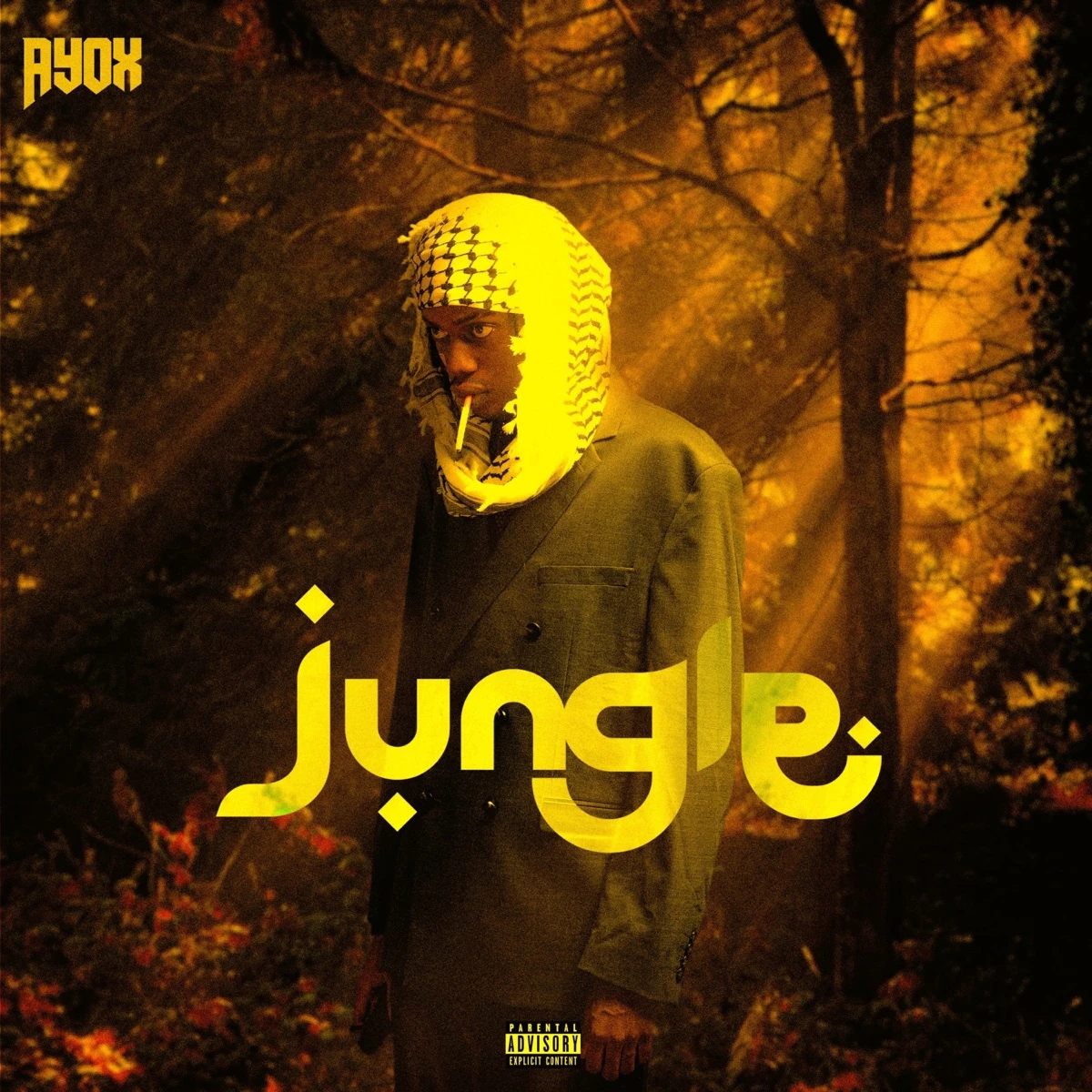 Jungle Lyrics