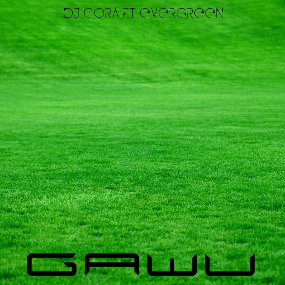 Gawu Lyrics