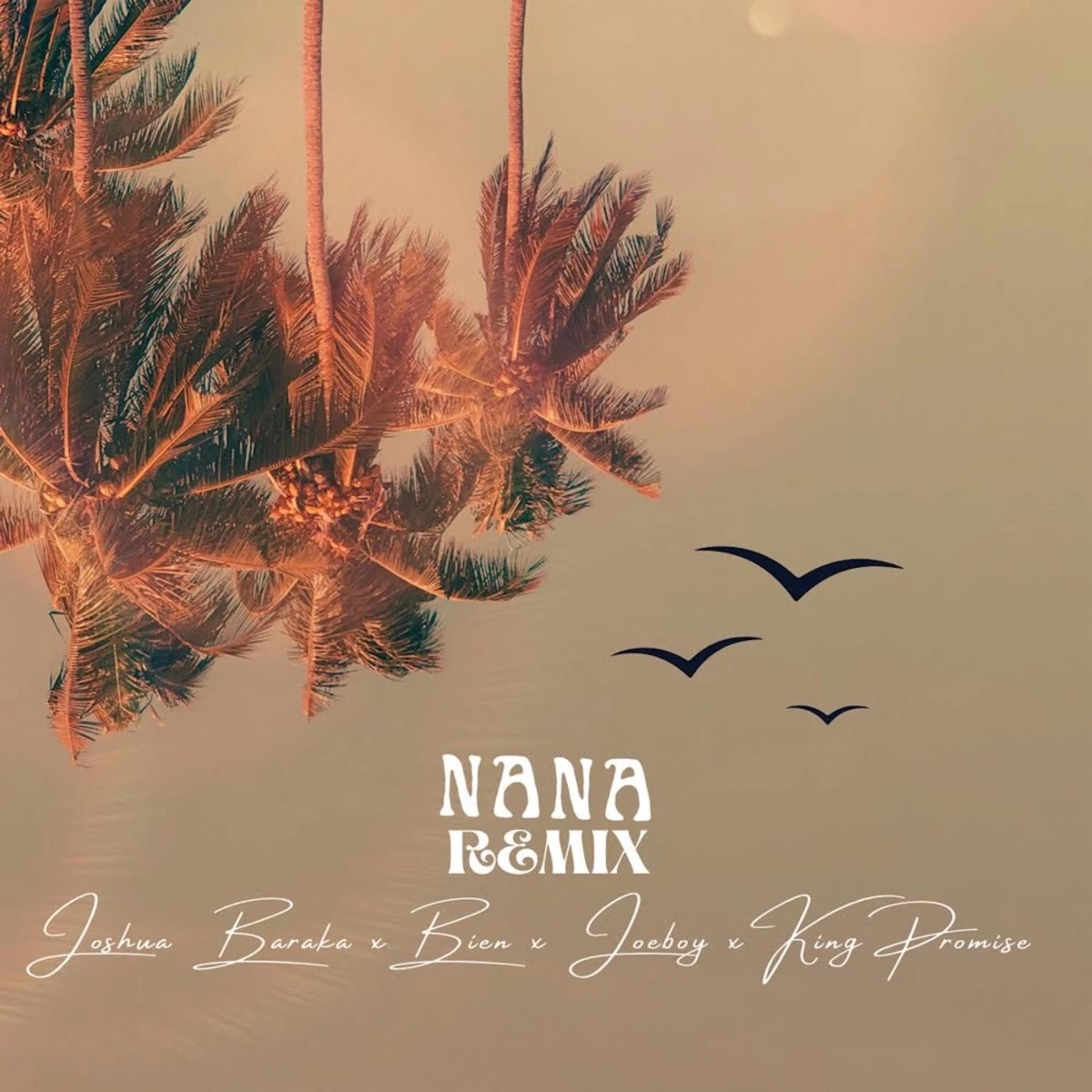 Nana [Remix] Lyrics