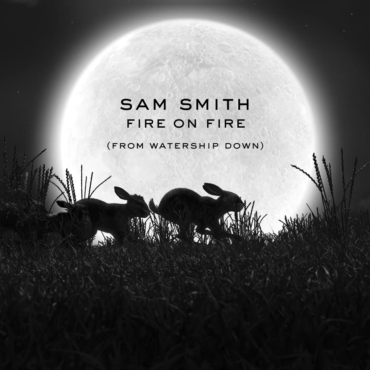 Fire on Fire Lyrics