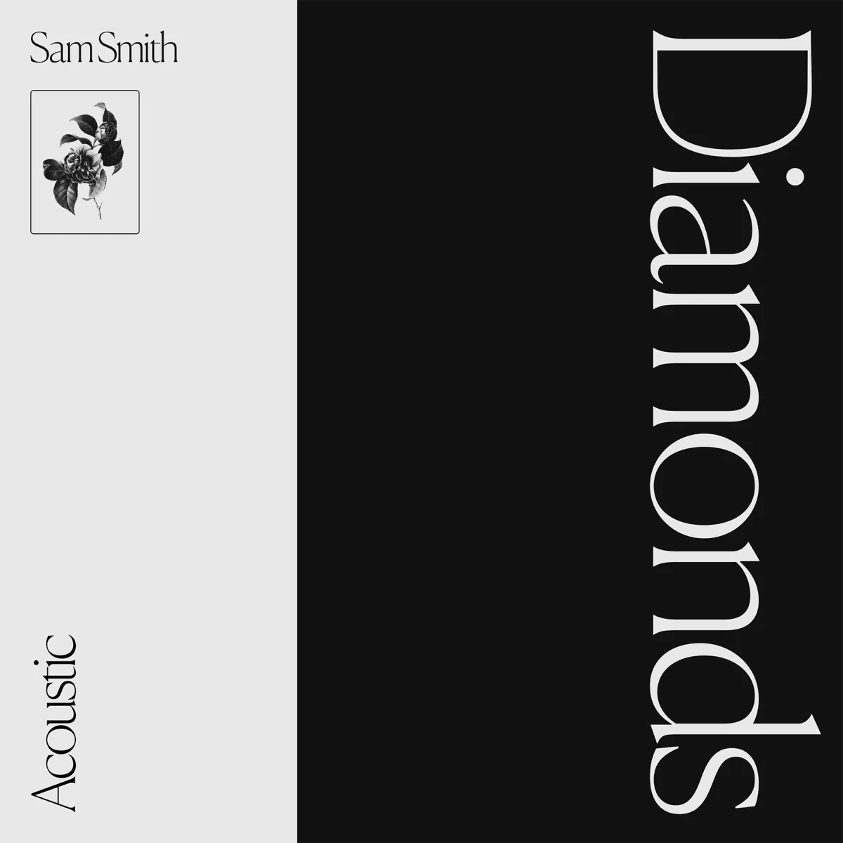 Diamonds (Acoustic) Lyrics