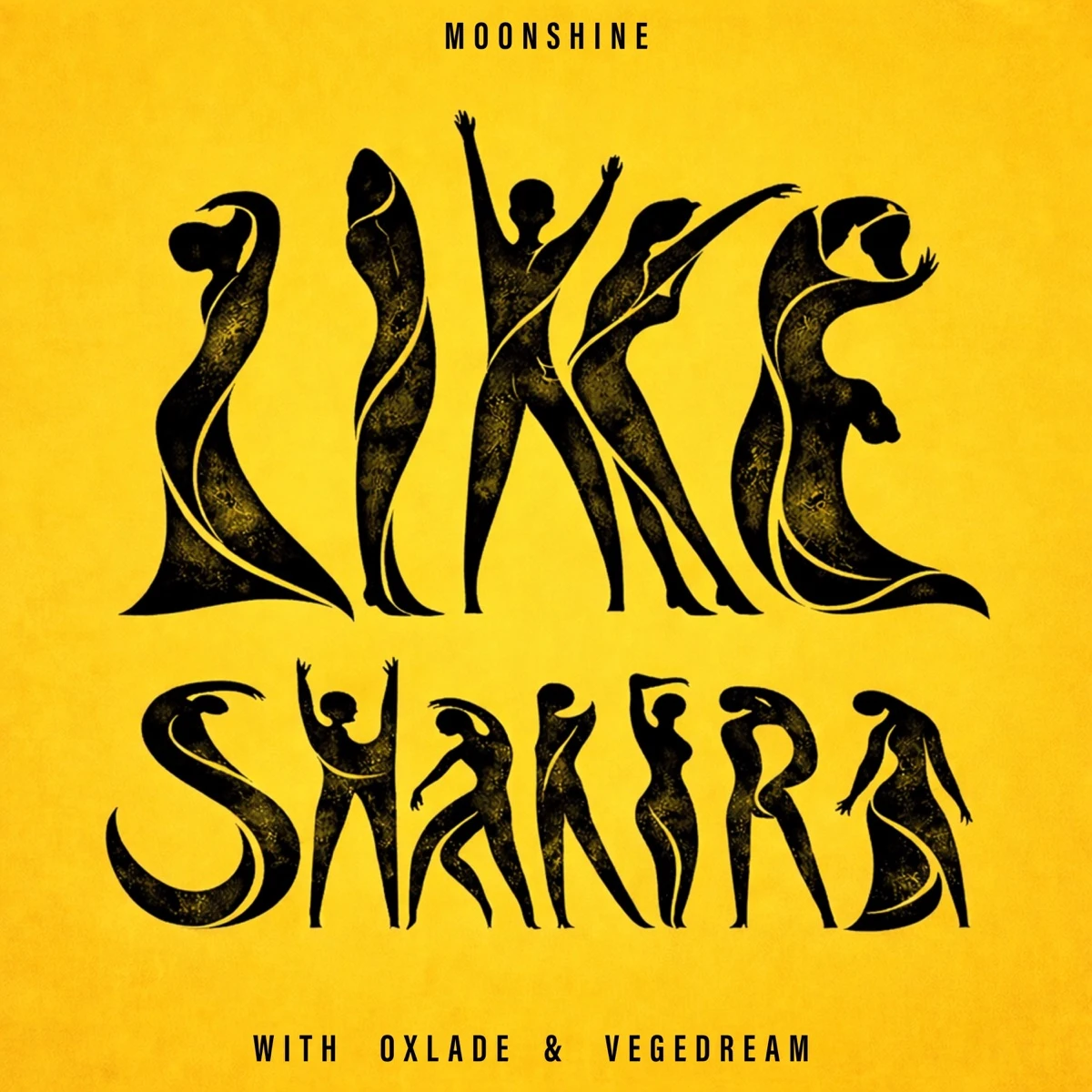 Like Shakira (with Oxlade & Vegedream) Lyrics