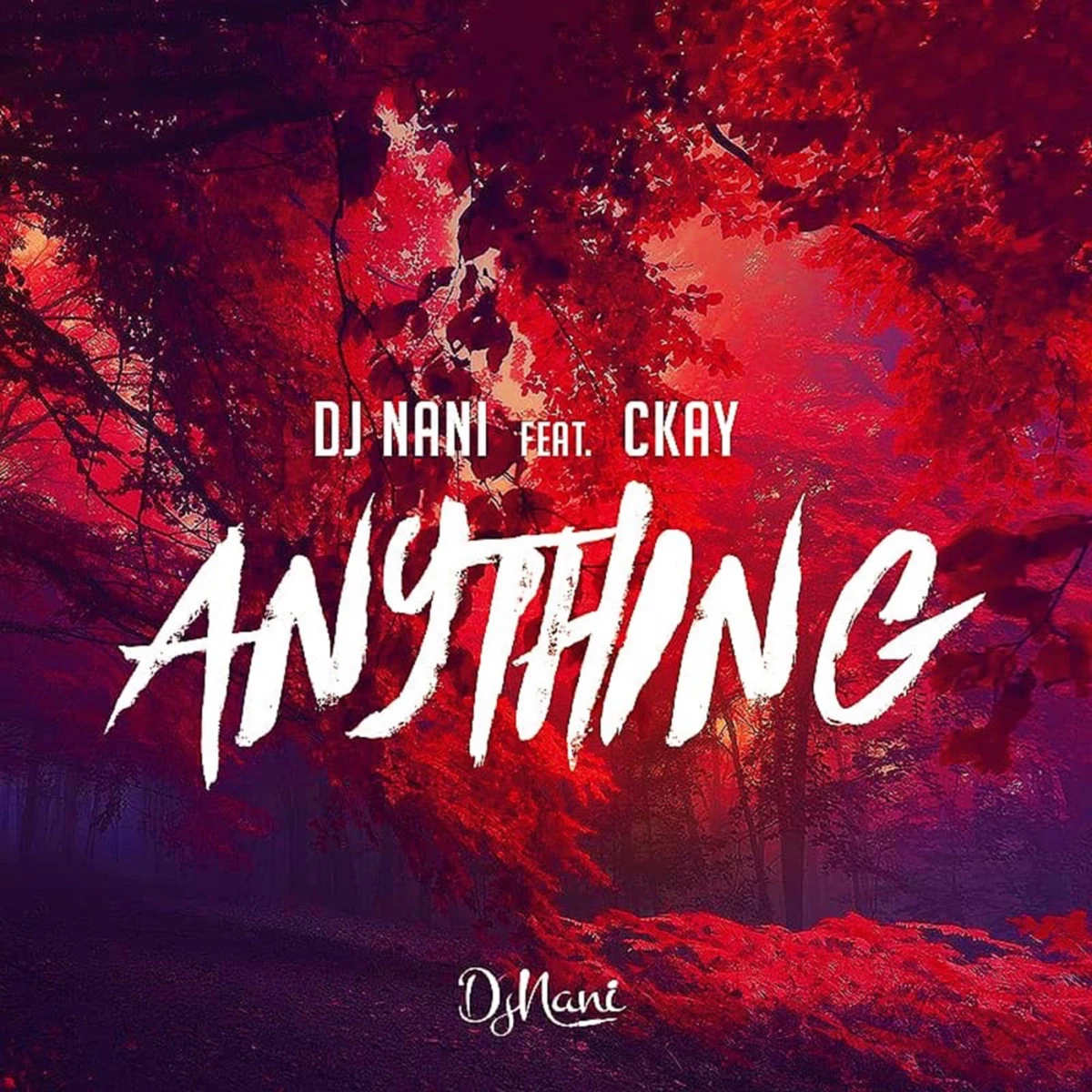 Anything Lyrics