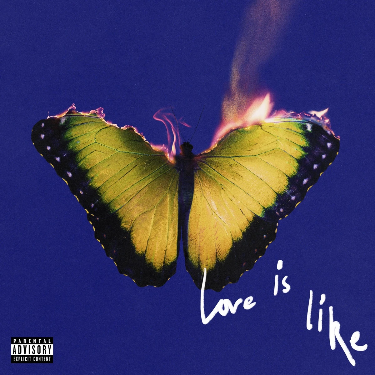 Love Is Like Lyrics