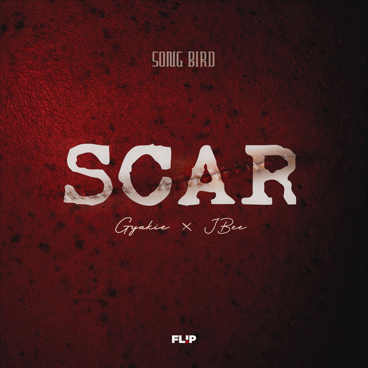 SCAR Lyrics