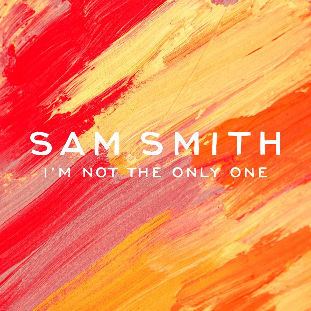 I'm Not the Only One (Grant Nelson Remix) Lyrics