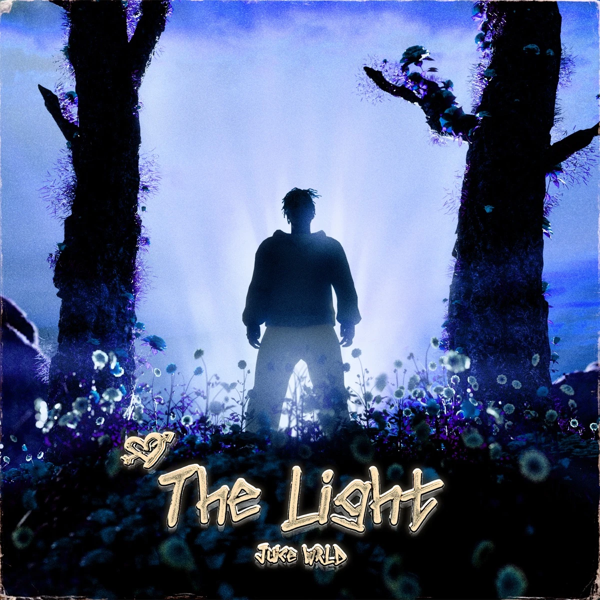 The Light Lyrics