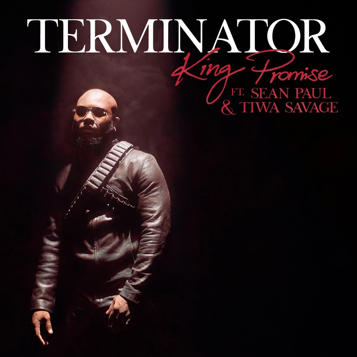 Terminator (Remix) Lyrics