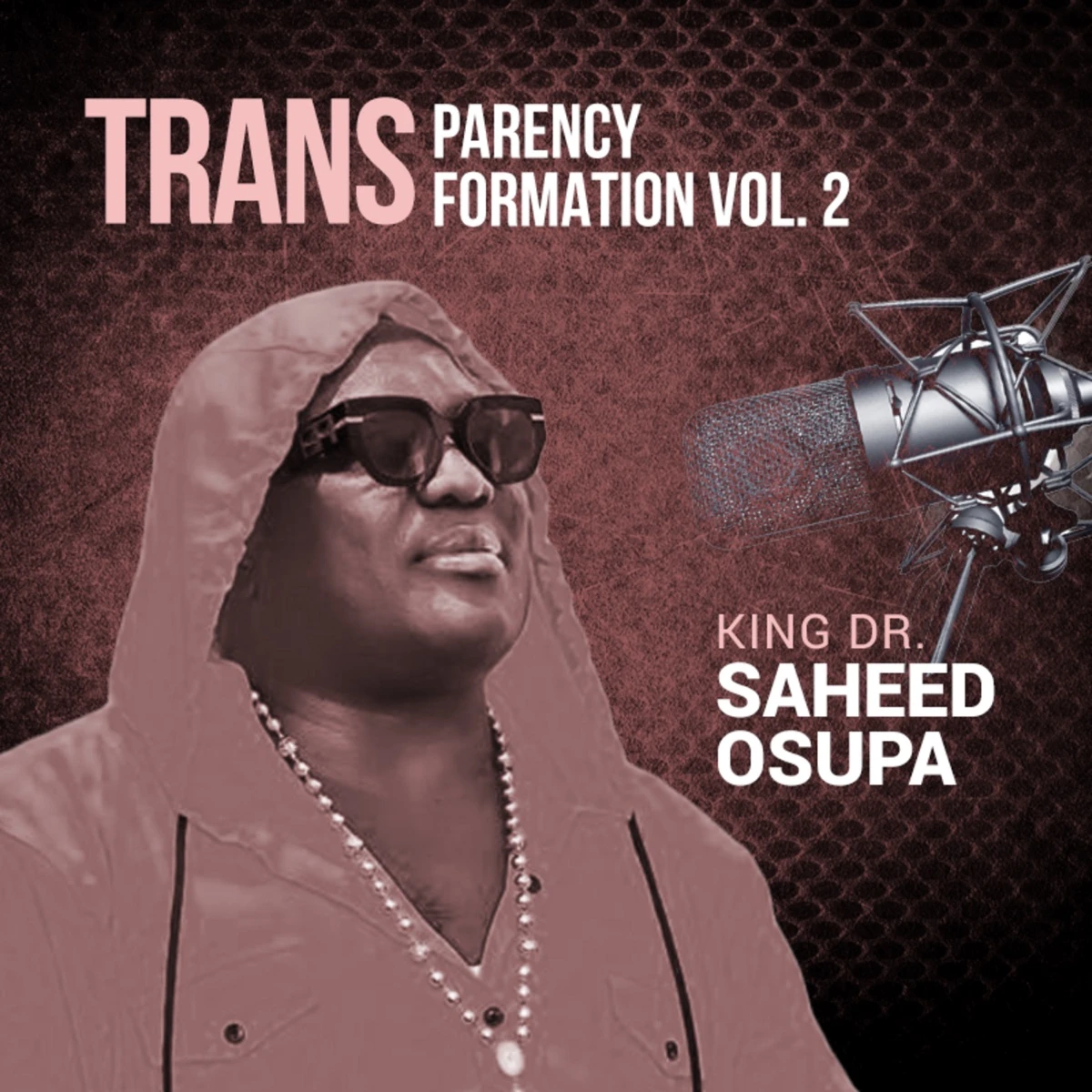 Transparency Transformation 2, Pt. 1 Lyrics