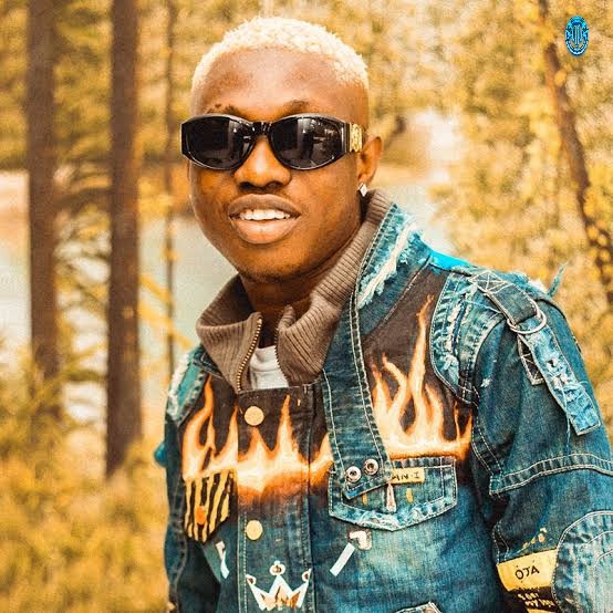 Zlatan Ibile